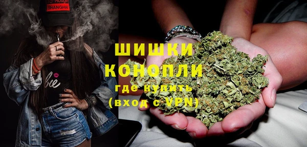 ГАЛЛЮЦИНОГЕННЫЕ ГРИБЫ Дмитров