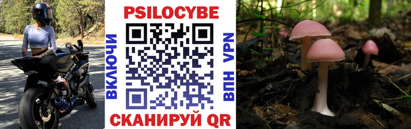 Купить закладки  Одинцово  Псилоцибиновые грибы ЛСД 